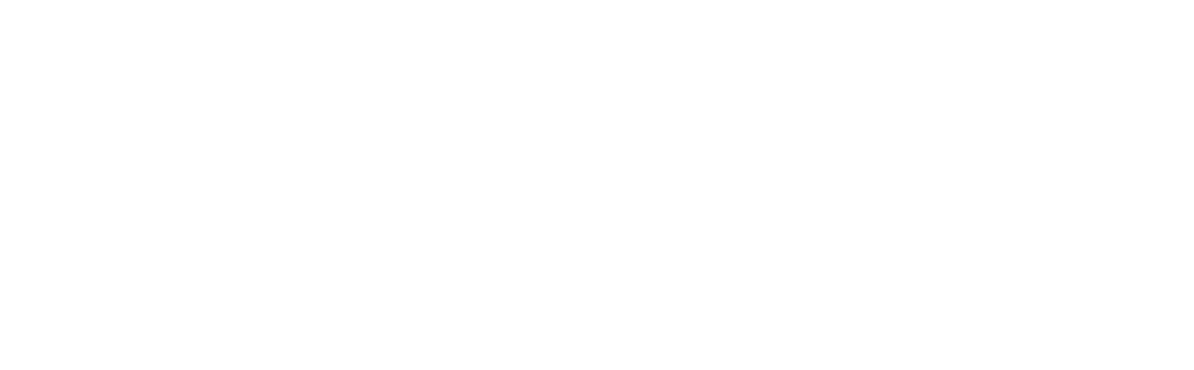 SynapSys Health Company Logo